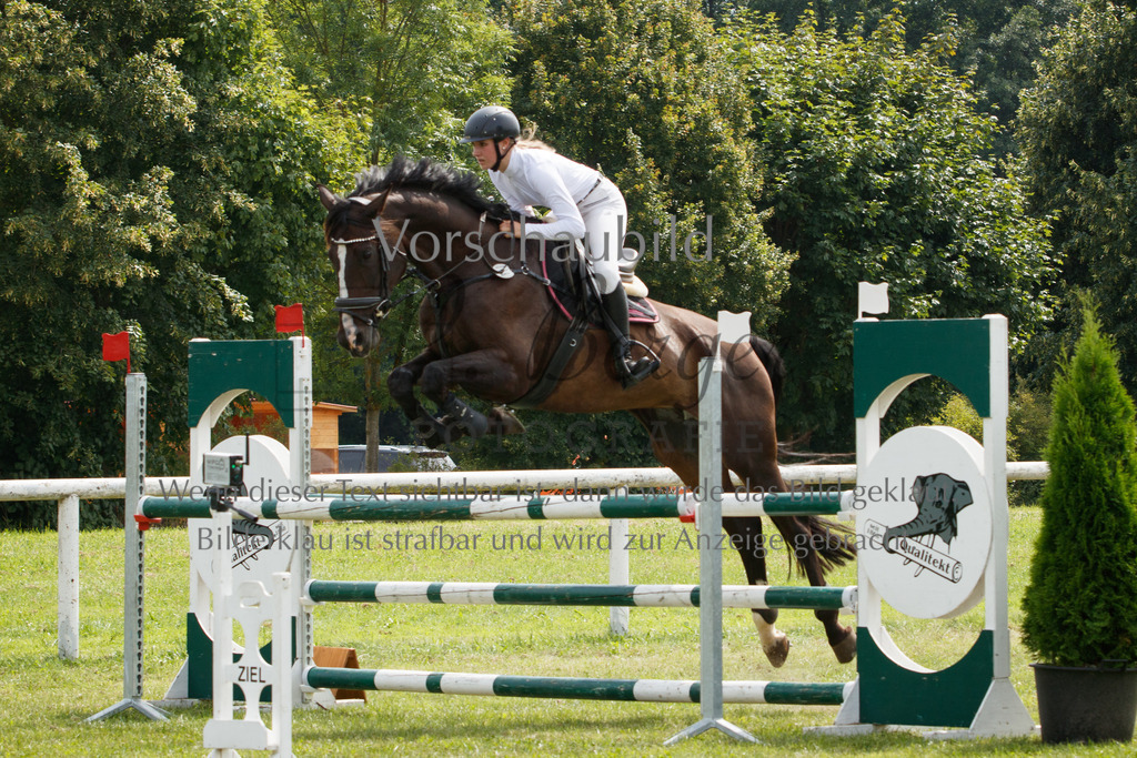 IMG_3262 | P. Berger Fotografie - Realisiert mit Pictrs.com