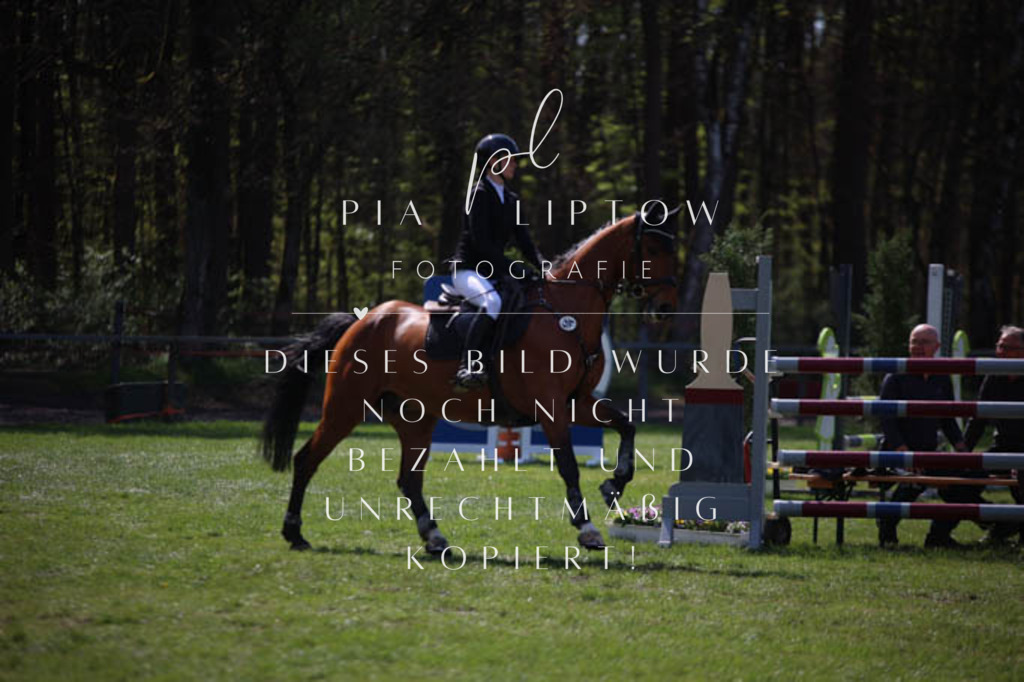 IMGT5499 | pl-fotografie