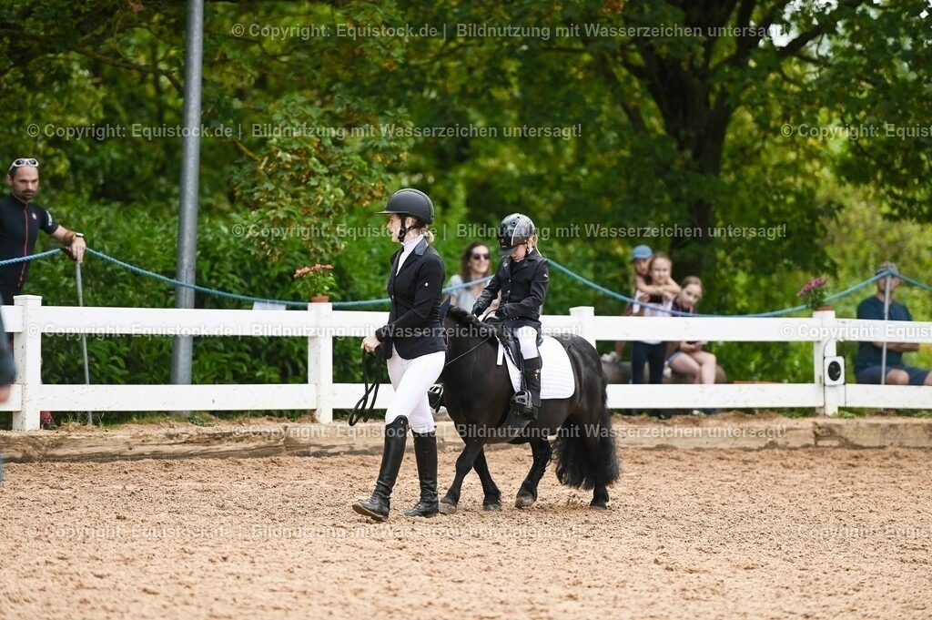 20230716_11_Führzügel-WB_0096 | equistock
