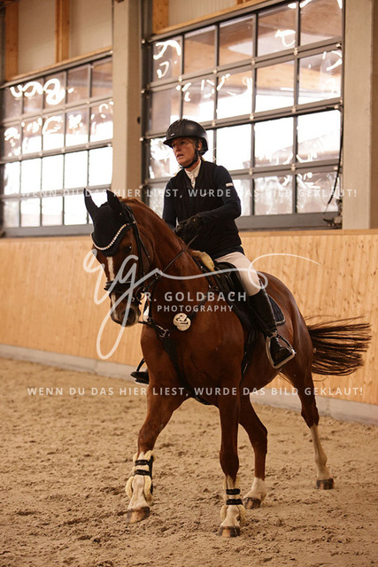 1J2A7866Francie Siegmund_ Heidi 682_ Kn277_ Glantz_ Hohen Wieschendorf | Foto- und Videografie für alles rund ums Pferd. Hochwertige Bilder und Videos vom Spring- und Dressurreiten, Voltigieren & mehr. Jetzt aktuelle Veranstaltungen und Preise im Shop ansehen. - Realisiert mit Pictrs.com