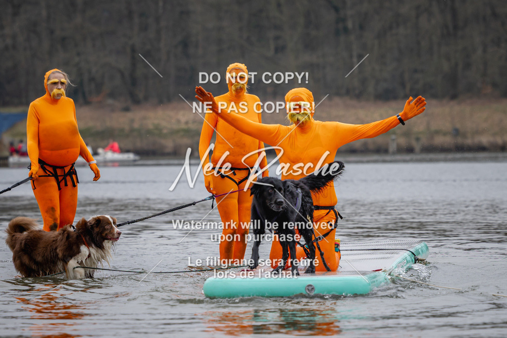 nelerasche_Hulsbeek_Sa1430-1515_232 | nelerasche