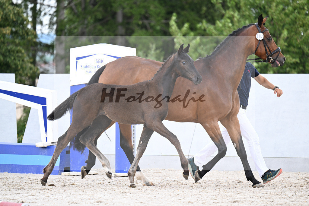 Kat-Nr. 7 One Million x Simonetti_SF_Doering_21250671 | hf-fotografie - Realizzato con Pictrs.com