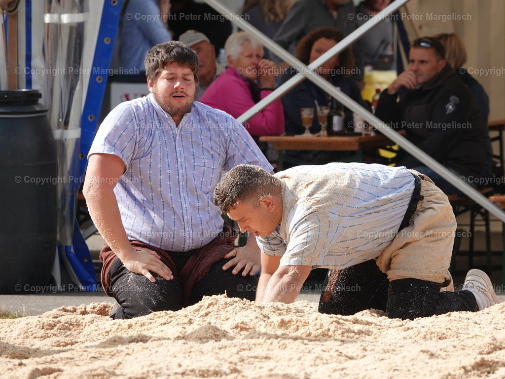 DSC05732 | Schwingen - Realized with Pictrs.com