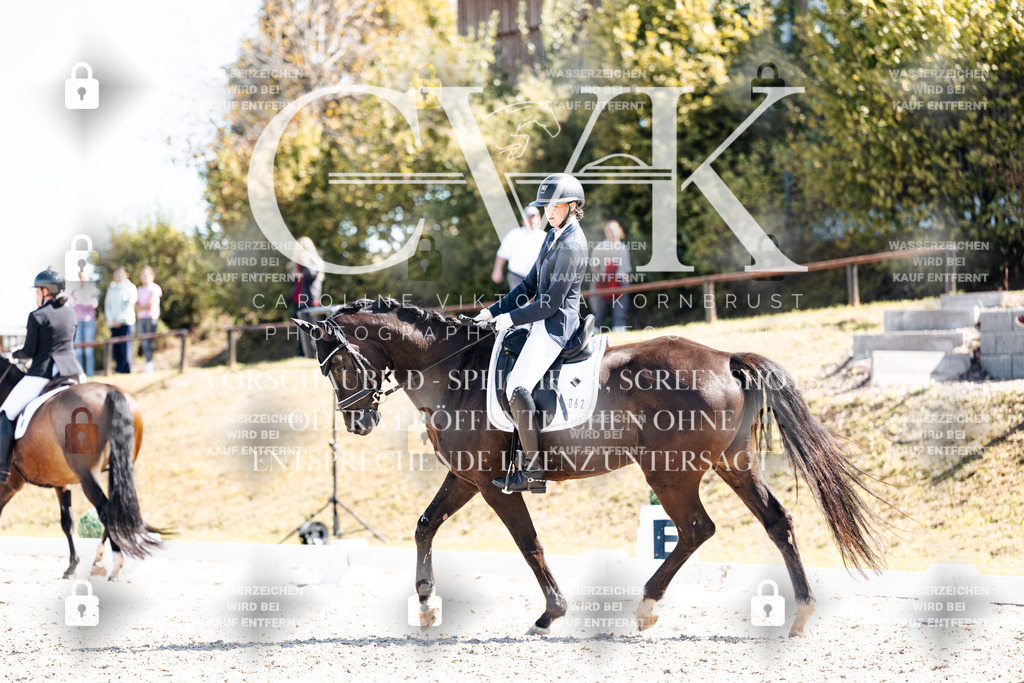 CK903415 | Turnierfotografie Pferdefotografie Trier Rheinland-Pfalz Pferdesport Reitsport Tierfotografie Sportfotografie Pferdevideo Pferdevideografie Equestrianvideography equestrianphotography  - Realisiert mit Pictrs.com