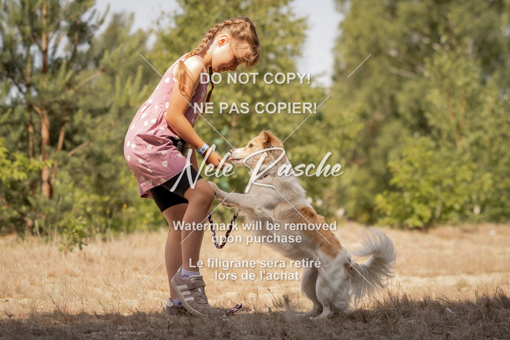 nelerasche_soDD2_283 | nelerasche