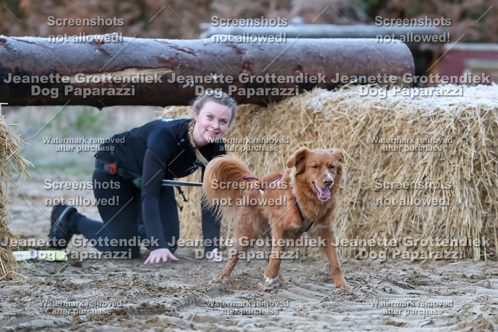 Dog Paparazzi - Strongdog 10-25-63 | Dog Paparazzi Jeanette Grottendiek Fotografie & Videografie - Realisiert mit Pictrs.com