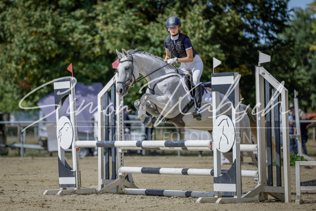 20250906-_3LI6050 | Tierfotografie Pferde, Hunde, Katzen, Haustiere.
Turnierfotografie Reitturniere, Reiten, Springreiten, Dressur in Hanau, dem Main-Kinzig-Kreis und dem Rhein-Main- Gebiet um Frankfurt