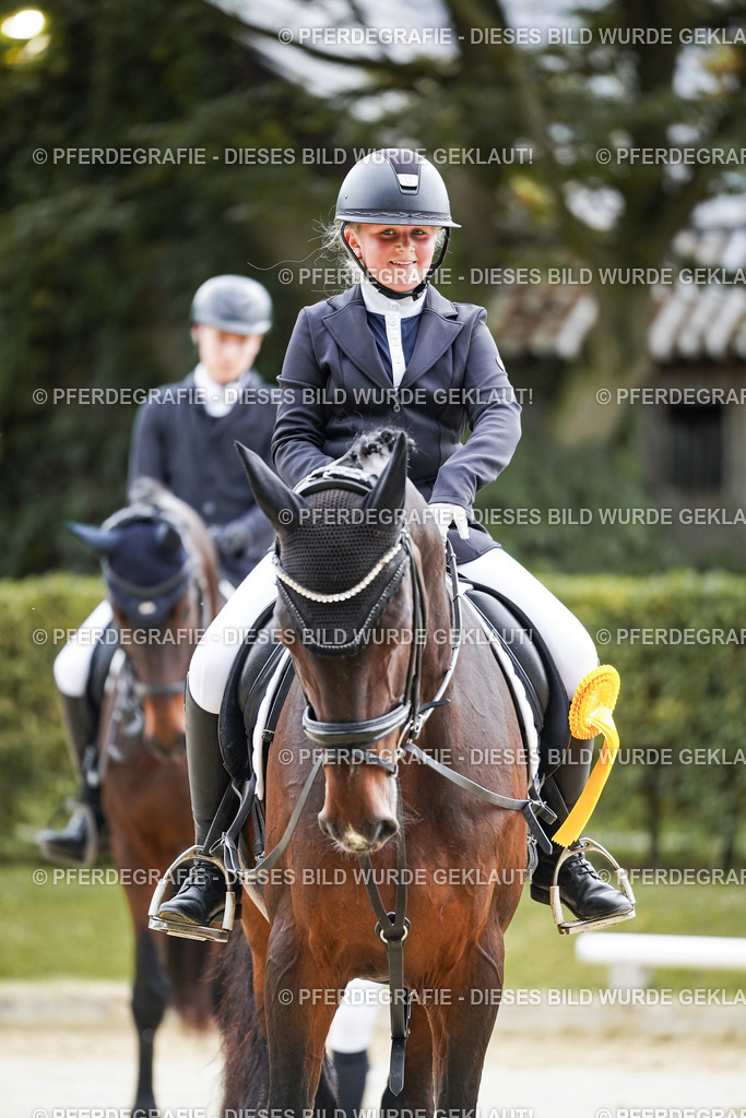 DSC04961 | Pferdegrafie