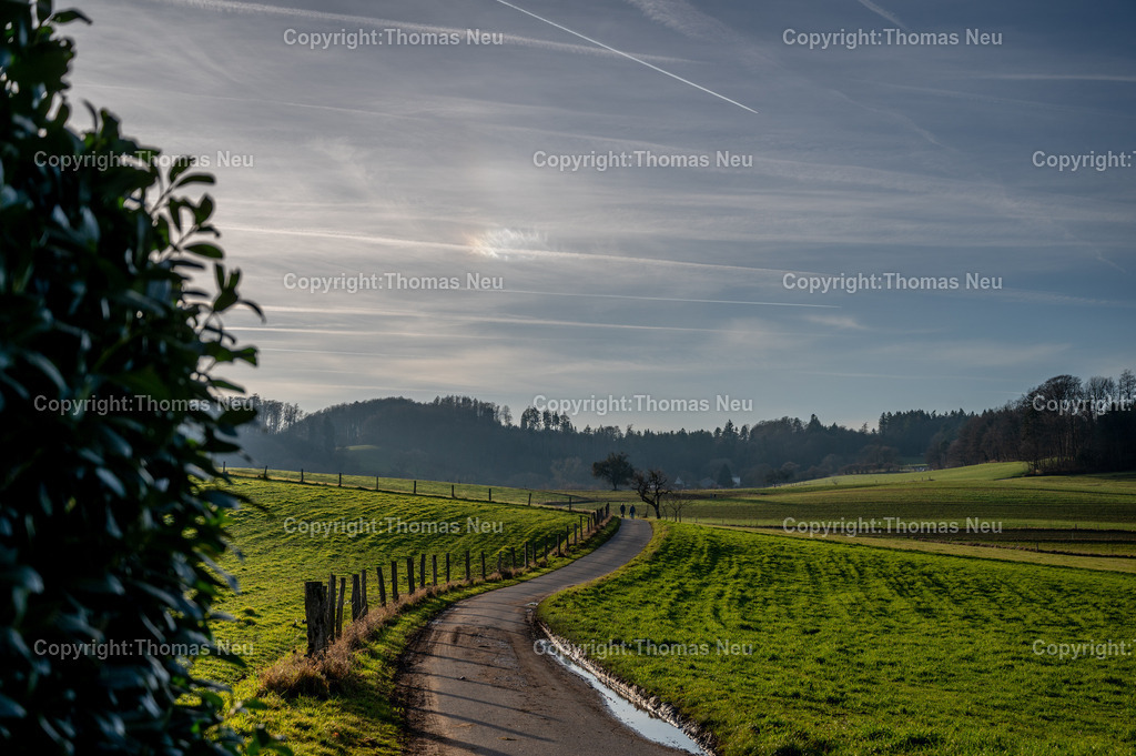 Odenwald_Kolmbach_Winterspaziergang_Fotografie_Thomas-Neu | Winterliche Odenwald-Landschaft bei Lindenfels: Feldwege, Wiesen und Weitblicke rund um Kolmbach – ruhige Naturfotografie von Thomas Neu.