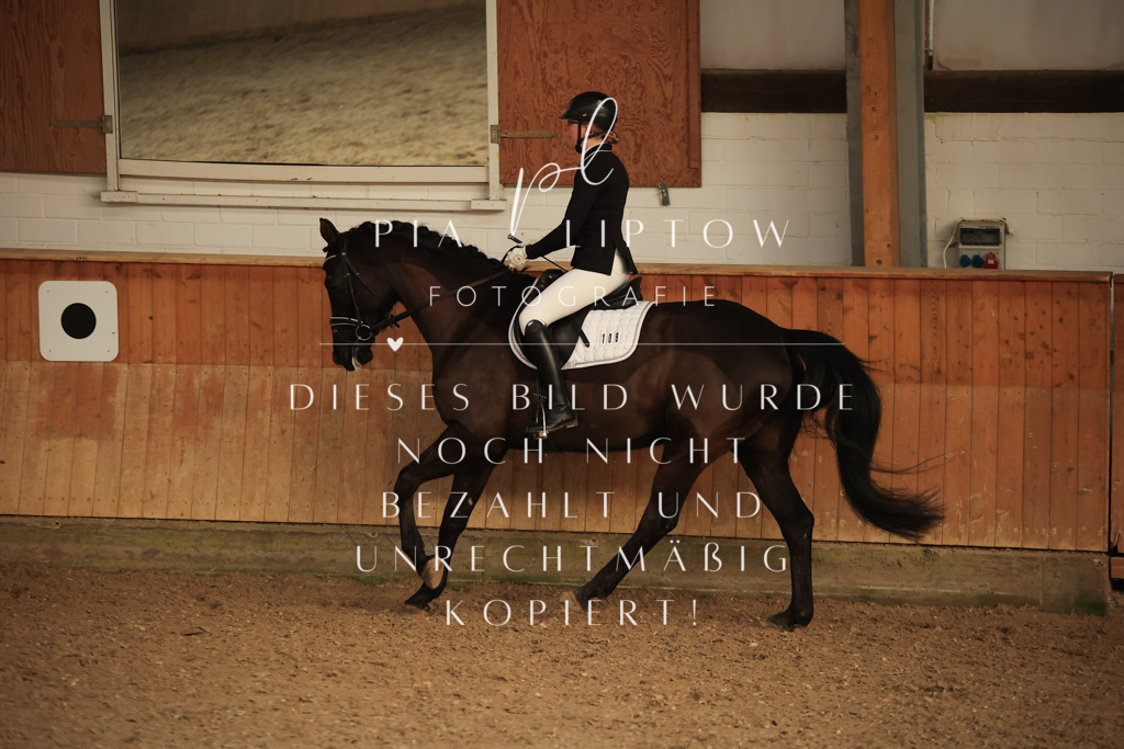 IMGT3625 | pl-fotografie