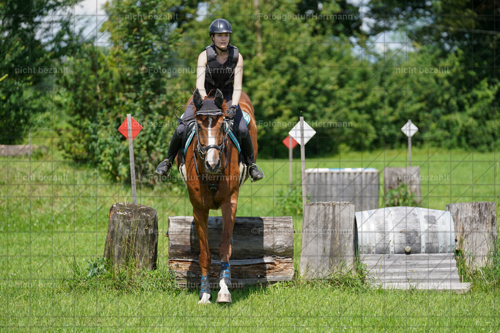 20240622-FAH06829 | Turnierfotografen Bayern, Reitsportbilder aus dem Geländekurs mit Felix Etzel auf dem Gut Waitzacker 2024