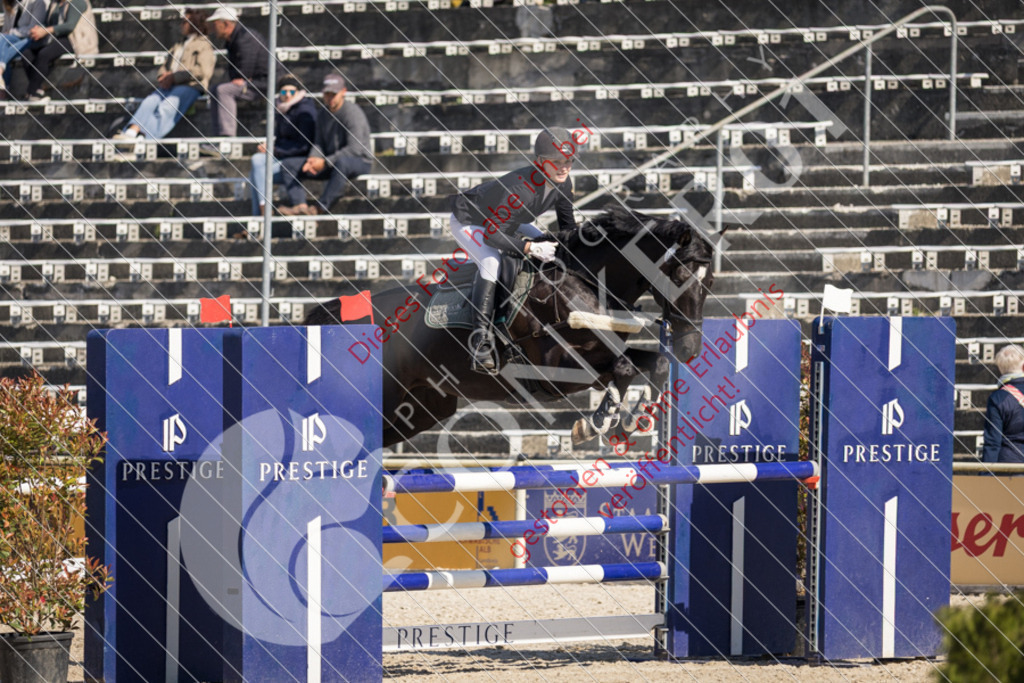 IMG_3578 | Sport-, Event- und Tierfotos in Profiqualität. Einfach auswählen, bestellen und herunterladen. Dein Moment – perfekt festgehalten.