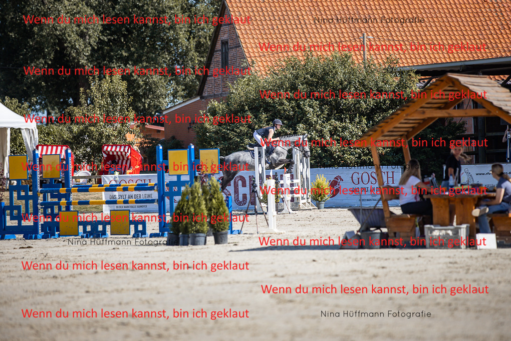 BK1A7094 | Turnierbilder Turnierfotos Nina Hüffmann Turnierfotografie Pferdefotografie Tierzeichnung Haustierzeichnung Pferdezeichnung Hundezeichnung Videograf  - Realisiert mit Pictrs.com