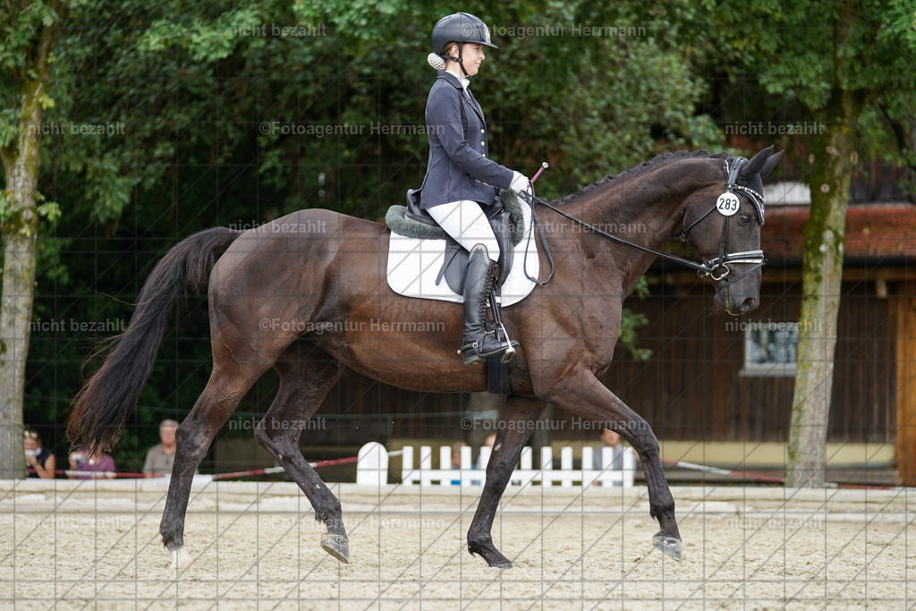 20230826-FAH05225 | Forstinning, 2023, Dressurturnier, Turniersportbilder, Turnierfotografen Bayern, Fotoagentur Herrmann, Reitsportfotografie, Turnierbilder