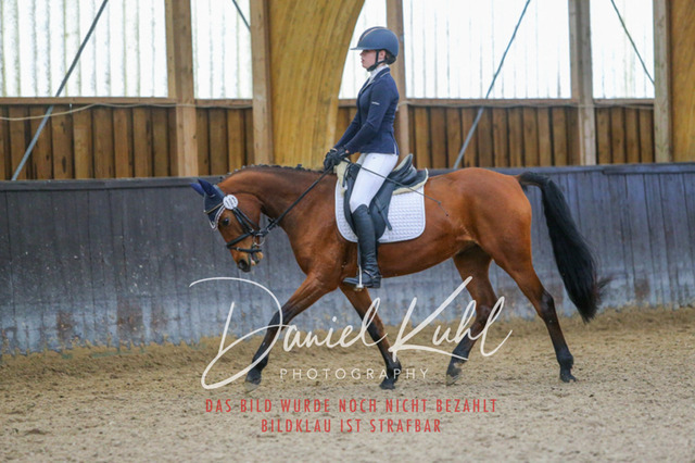 IMG_0689 | Turniersportfotografie; Pferdefotografie; Dressurfotografie