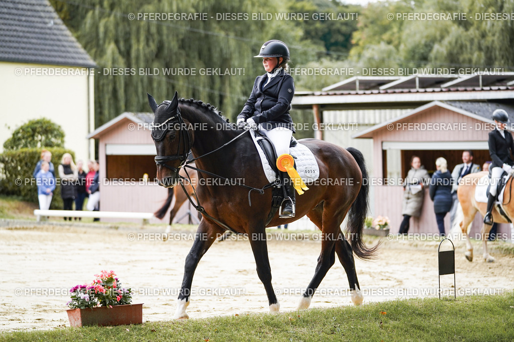 DSC05029 | Pferdegrafie