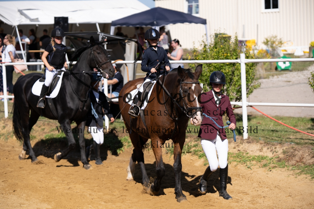 A7V02382 | Pferdefotograf