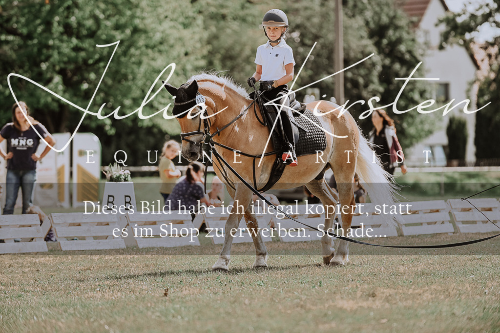 DSC_7744 | Pferde- und Turnierfotografie in Westsachsen. Pferdeportraits, Auftragszeichnungen und intuitive Kunst.