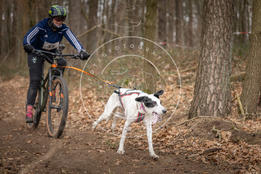 Pfotenfotografie_DV3A0177 | Hundefotografie, Tierfotograf, Pfotenfotografie, Fotoshooting Hund, Hunde Portrait, Hundesport, Hundeportraits, Heideshooting, Hunde, Sportfotograf, Hundefotograf, Turnierhundsport, THS,  - Realisiert mit Pictrs.com
