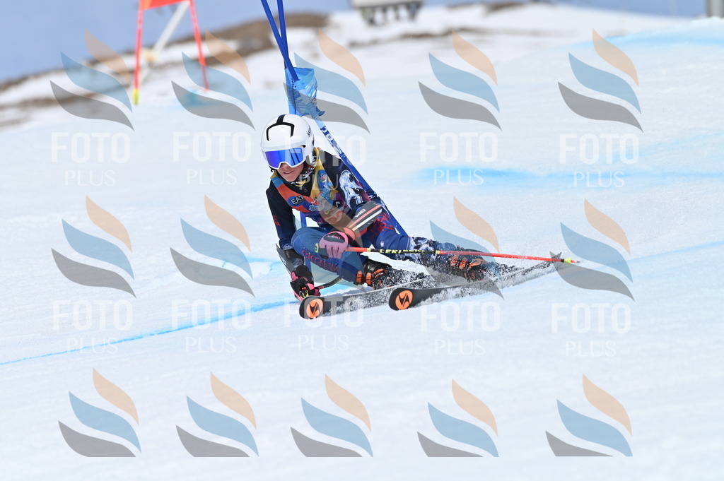 BGV_1663 | holidayphoto