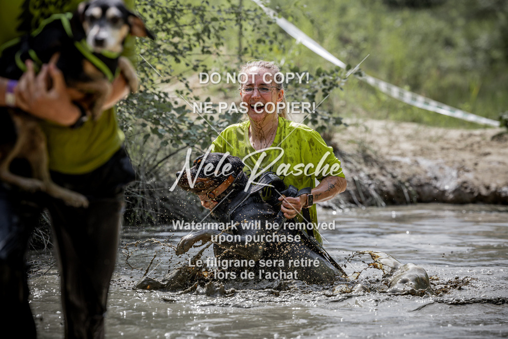 nelerasche_so1145-1230_77 | nelerasche