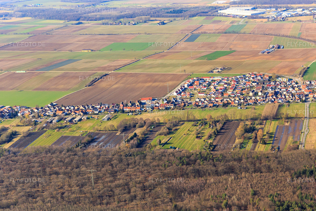 Luftbild: Saarstraße und Am Höhenweg von Süden in Kandel im Bundesland Rheinland-Pfalz in Deutschland. Foto: IMG_097206.jpg vom 10.03.2017 durch Werner Riehm/FLY-FOTO.de