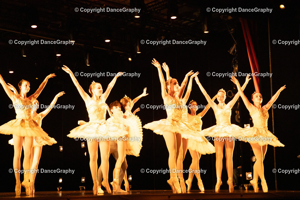 GPHY4486 | DanceGraphy - Realisiert mit Pictrs.com