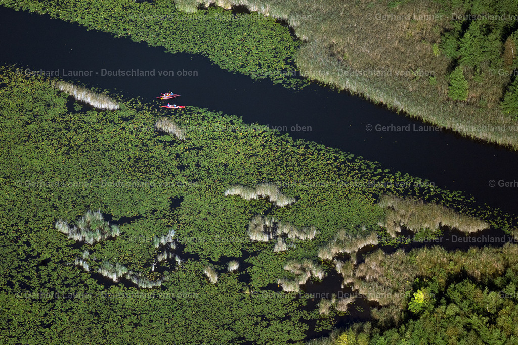 4062318 | MIROW 08.09.2021 Uferbereichs- Landschaft am Gebiet der Seenkette mit Wassersportlern am Seengebiet Kleiner Kotzower See in Mirow im Bundesland Mecklenburg-Vorpommern, Deutschland. // Shore area landscape in the area of a??a??the chain of lakes with water sports enthusiasts in the Kleiner Kotzower See lake area in Mirow in the state Mecklenburg - Western Pomerania, Germany. Foto: Gerhard Launer