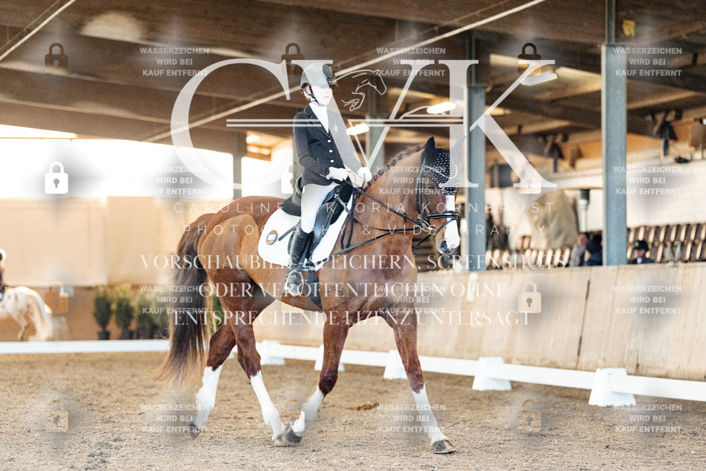 CK906683 | Turnierfotografie Pferdefotografie Trier Rheinland-Pfalz Pferdesport Reitsport Tierfotografie Sportfotografie Pferdevideo Pferdevideografie Equestrianvideography equestrianphotography  - Realized with Pictrs.com