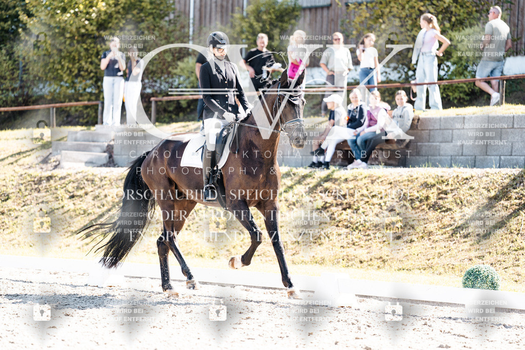CK909415 | Turnierfotografie Pferdefotografie Trier Rheinland-Pfalz Pferdesport Reitsport Tierfotografie Sportfotografie Pferdevideo Pferdevideografie Equestrianvideography equestrianphotography  - Realisiert mit Pictrs.com