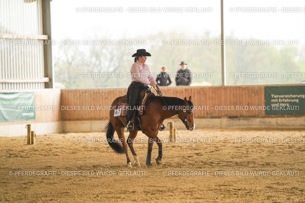 DSC00167 | Pferdegrafie