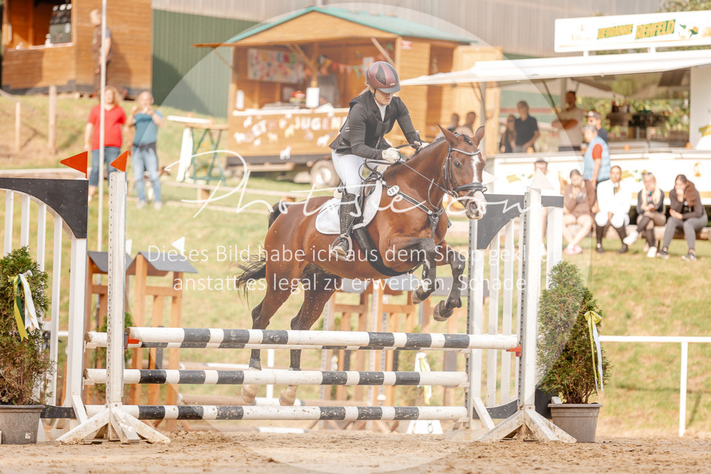 3I6A2755 | Stimmungsvolle Portraits und Reitsportfotografie im Ruhrgebiet und im Münsterland.

Pferdefotografie, Hundefotografie, Tierfotografie, Reportagen, Portraits von Tier und Mensch, Turnierfotografie in Bochum, Recklinghausen, Marl, Haltern am See, Dülmen.. - Realisiert mit Pictrs.com
