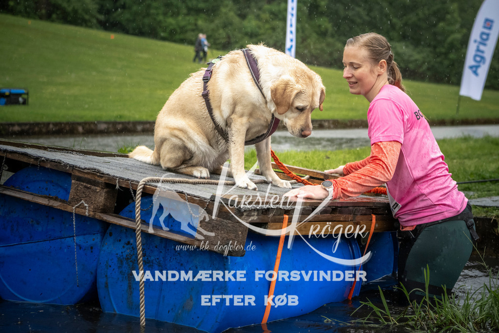 1330_ZZ98810 | kk-dogfotos