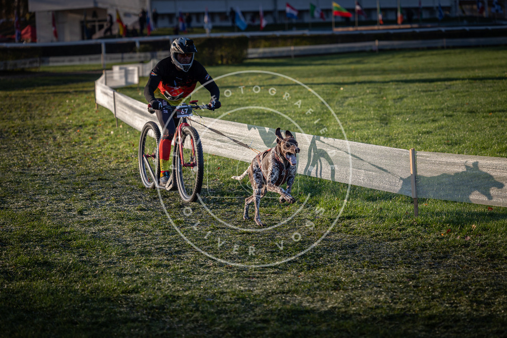 CaniXpix_0L8A2901 | Hundefotografie, Tierfotograf, Pfotenfotografie, Fotoshooting Hund, Hunde Portrait, Hundesport, Hundeportraits, Heideshooting, Hunde, Sportfotograf, Hundefotograf, Turnierhundsport, THS,  - Realisiert mit Pictrs.com