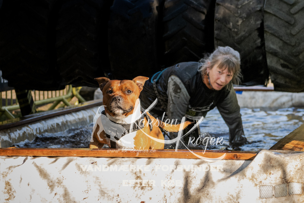 0950_ZZ92013 | kk-dogfotos