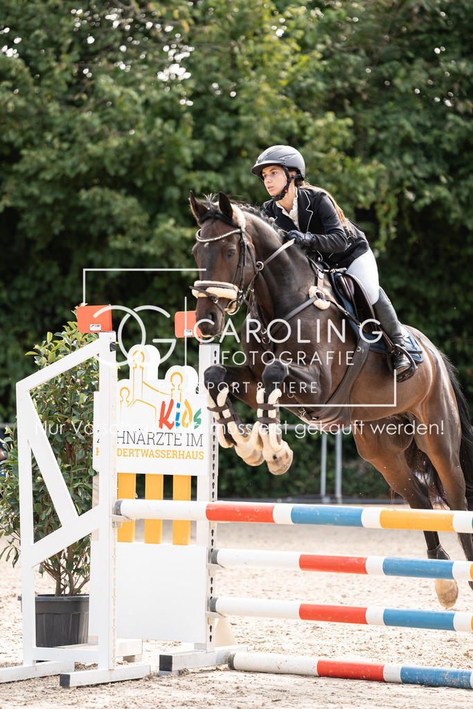 DSC02168 | Carolin Gieschke