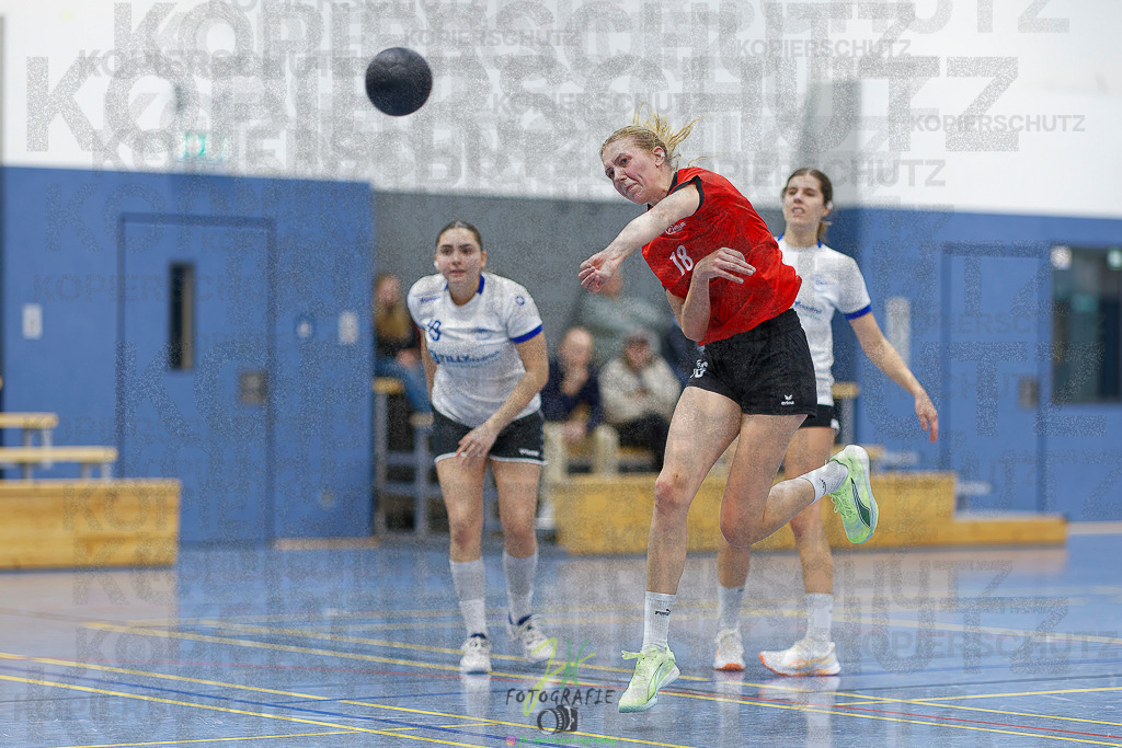 Frauen 2. Bezirksklasse; SG Rechtenbach - HSG Linden II | Frauen 2. Bezirksklasse; SG Rechtenbach - HSG Linden II am 16.11.2025 in Rechtenbach (Sporthalle Rechtenbach)Photo © 2025 - Jörg Heinrich - Realisiert mit Pictrs.com
