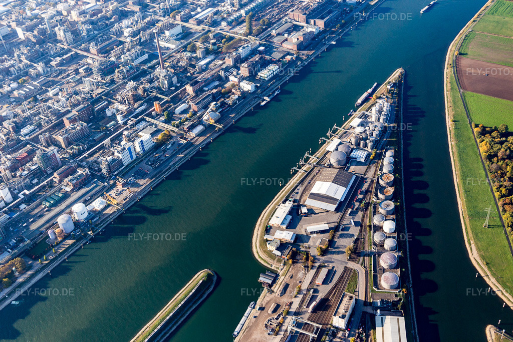 Luftbild: Uferbereiche entlang der Fluß- Mündung des Neckar in den Rhein gegenüber der BASF im Ortsteil Mühlauhafen im Ortsteil Innenstadt in Mannheim im Bundesland Baden-Württemberg in Deutschland. Foto: IMG_095475.jpg vom 30.10.2016 durch Werner Riehm/FLY-FOTO.de