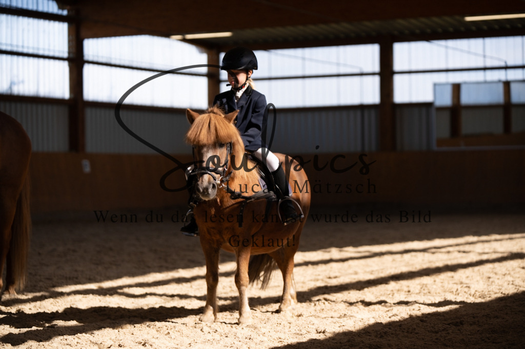 A7V02153 | Turnier/Reitfotograf