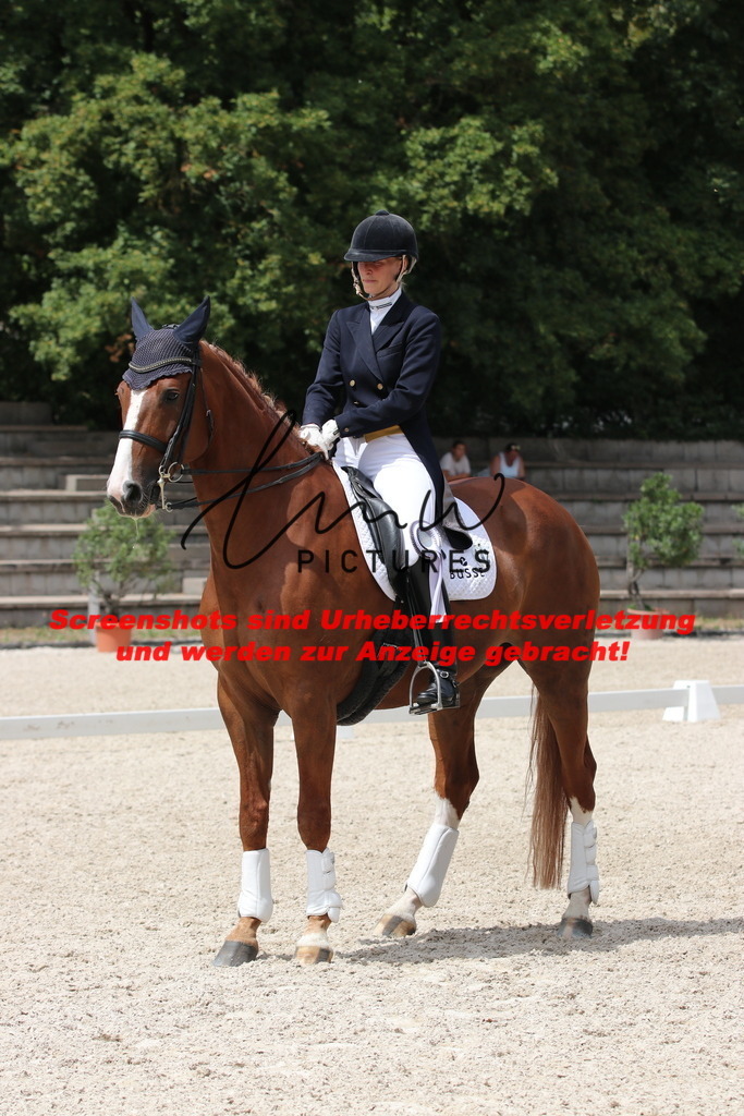 IMG_2001 | lmwpictures - Realisiert mit Pictrs.com