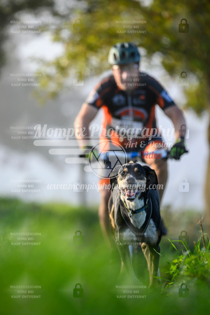 MompixPhotography_20TSB_E3_Bike-136 | PayLife
