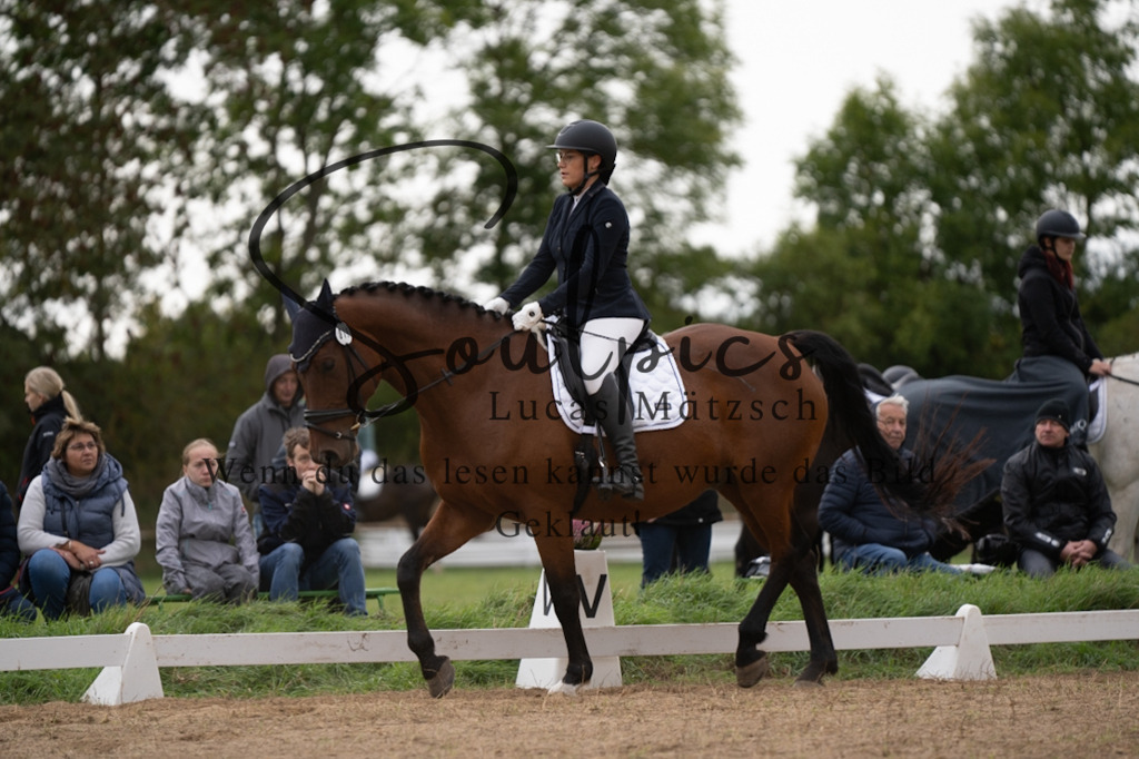 A7V05389 | Pferdefotograf