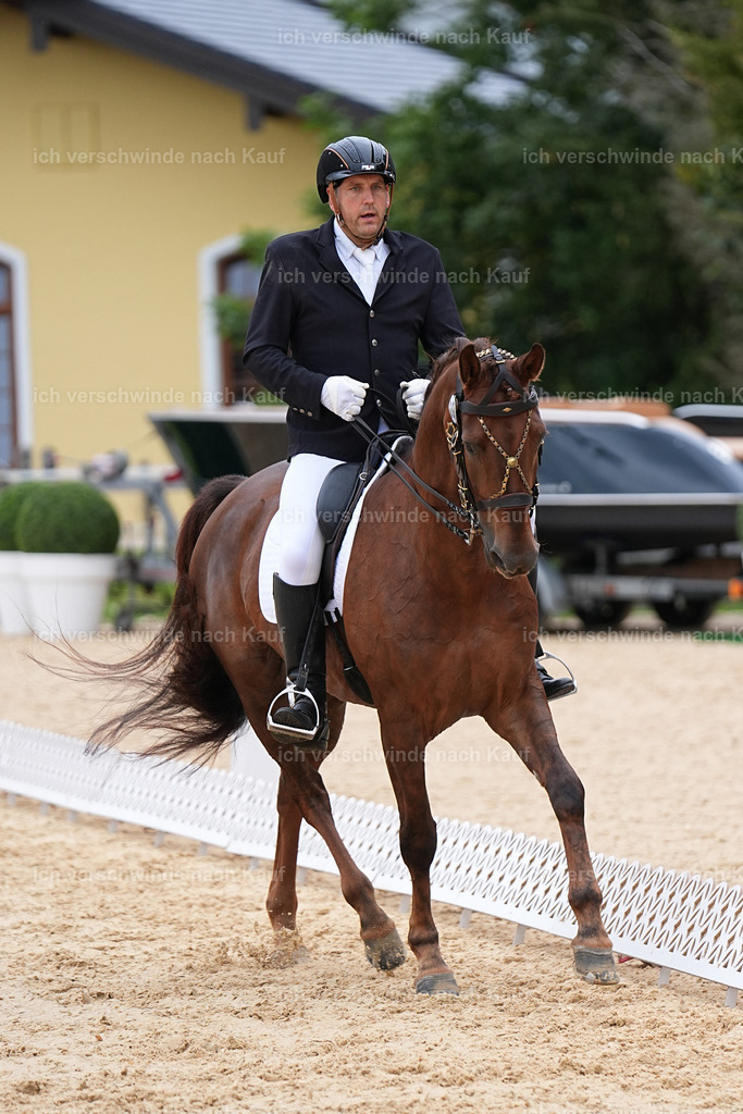 3-239-Dressur M_-Marixx-1925 | working equitationturnier fotograf videograf stoibphotography marixx film working equitation deutschland reitsport turnierfotografie eventfotografie equestrian events