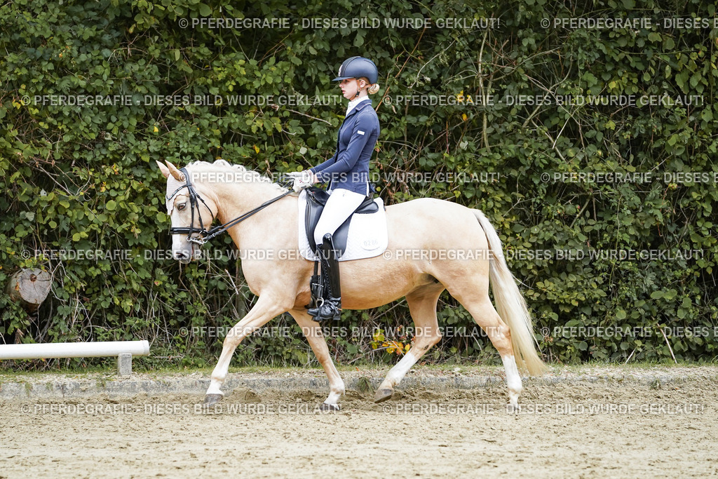 DSC07398 | Pferdegrafie