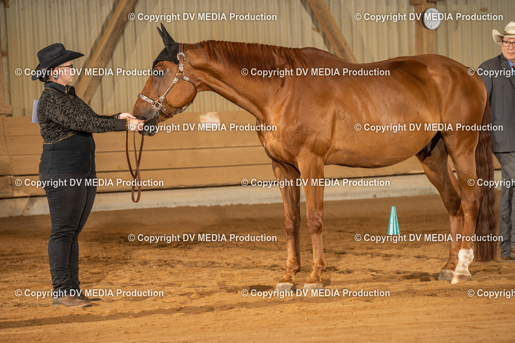 NID02348 | dv-media-shop - Realisiert mit Pictrs.com