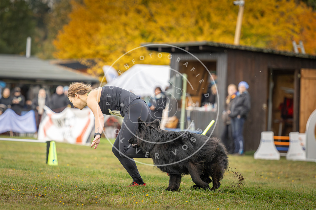 Pfotenfotografie_DV3A2973 | Hundefotografie, Tierfotograf, Pfotenfotografie, Fotoshooting Hund, Hunde Portrait, Hundesport, Hundeportraits, Heideshooting, Hunde, Sportfotograf, Hundefotograf, Turnierhundsport, THS,  - Realisiert mit Pictrs.com