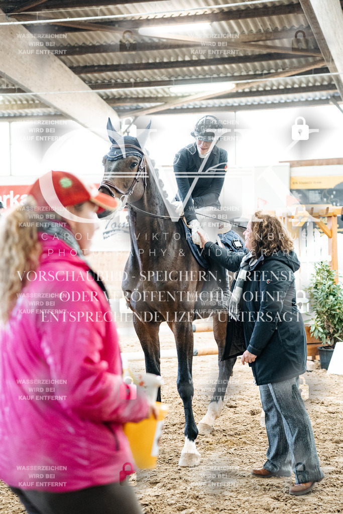 CK702885 | Turnierfotografie Pferdefotografie Trier Rheinland-Pfalz Pferdesport Reitsport Tierfotografie Sportfotografie Pferdevideo Pferdevideografie Equestrianvideography equestrianphotography  - Realized with Pictrs.com