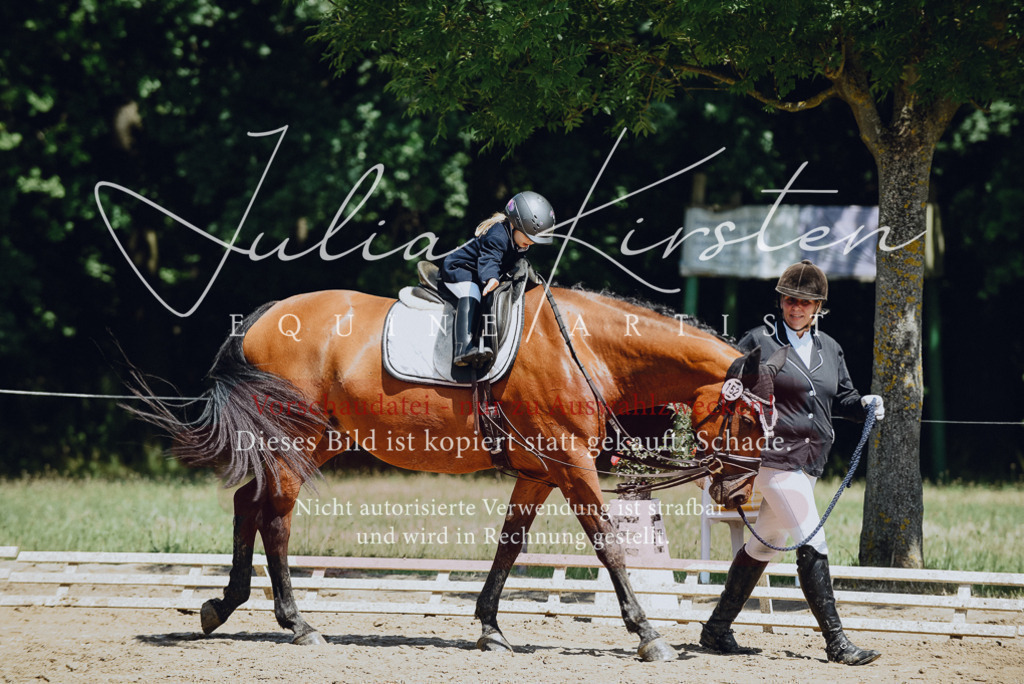 DSC_2623 | Pferde- und Turnierfotografie in Westsachsen. Pferdeportraits, Auftragszeichnungen und intuitive Kunst.