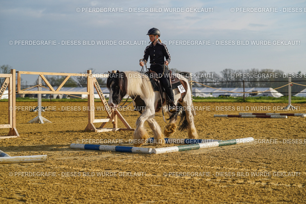 DSC00231 | Pferdegrafie