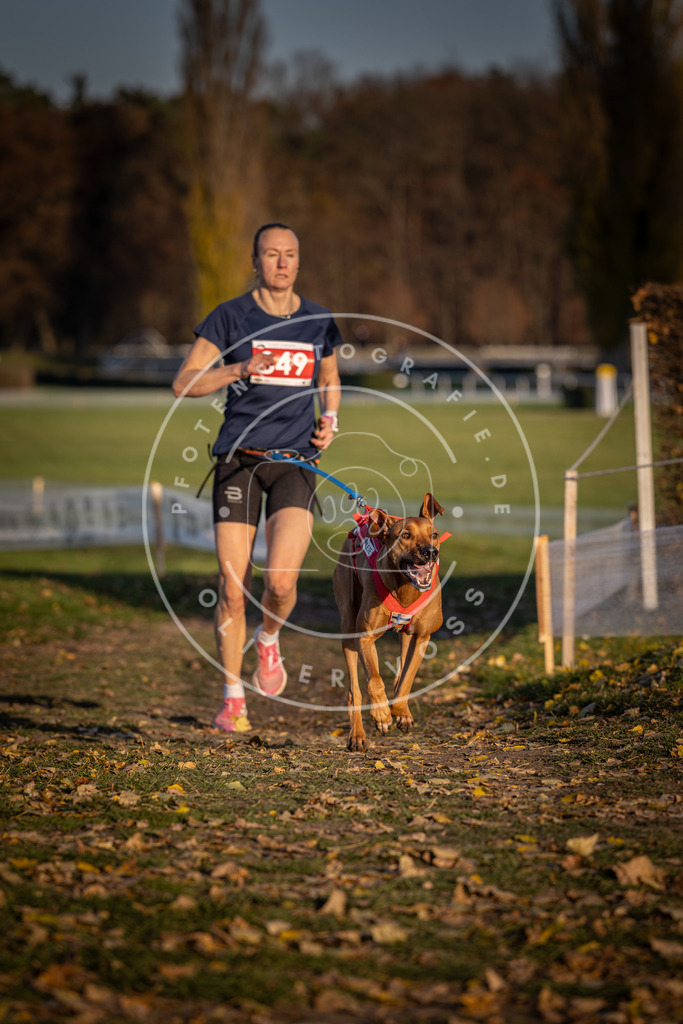 CaniXpix_DV3A3823 | Hundefotografie, Tierfotograf, Pfotenfotografie, Fotoshooting Hund, Hunde Portrait, Hundesport, Hundeportraits, Heideshooting, Hunde, Sportfotograf, Hundefotograf, Turnierhundsport, THS,  - Realisiert mit Pictrs.com